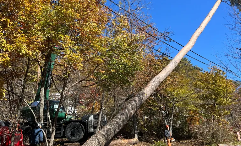 セクション4画像 1