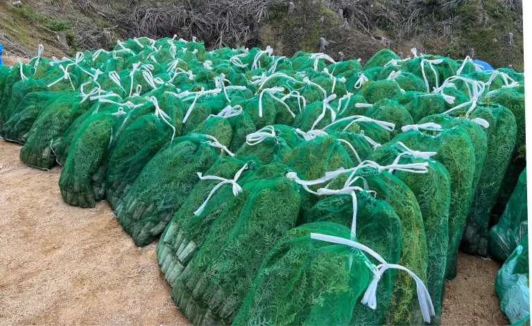 セクション4画像 2