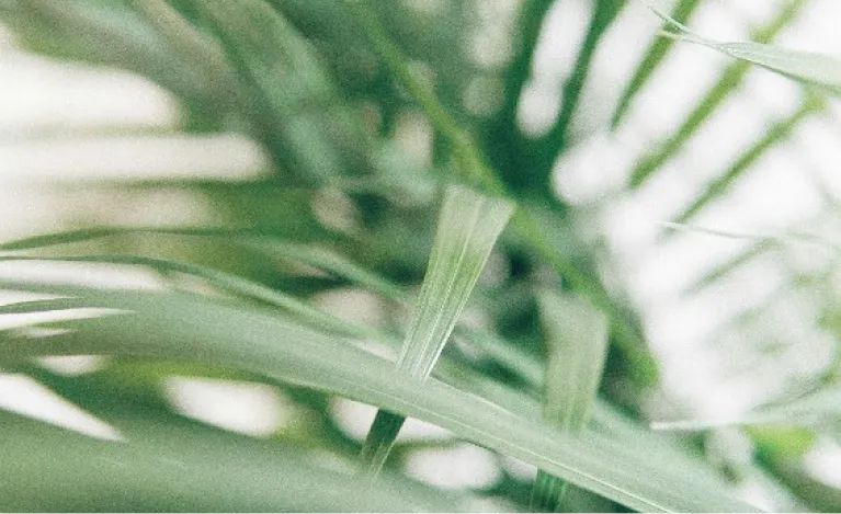 セクション4画像 4