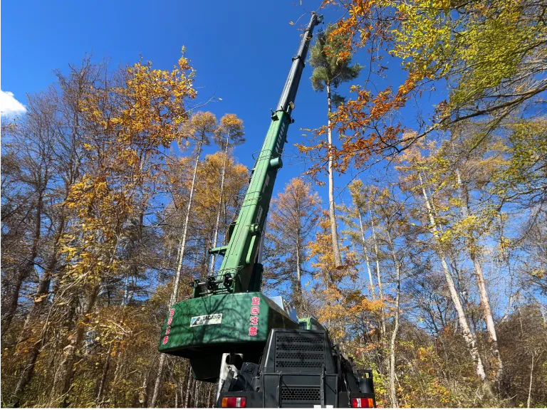 森林整備・管理